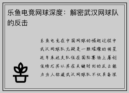 乐鱼电竞网球深度：解密武汉网球队的反击